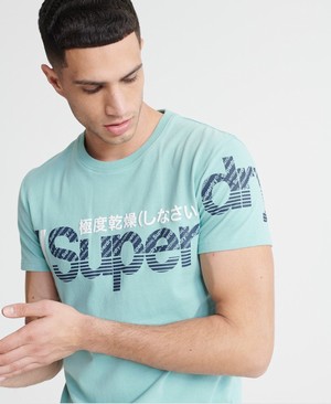 Superdry Core Split Logo Férfi Pólók Menta | OUWMA8956